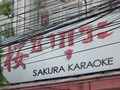 SAKURAのサムネイル