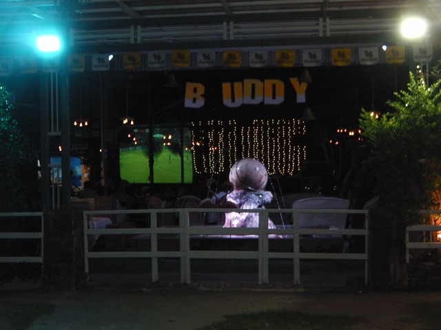 BUDDY Image